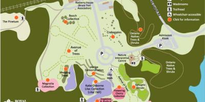地图RBG植物园